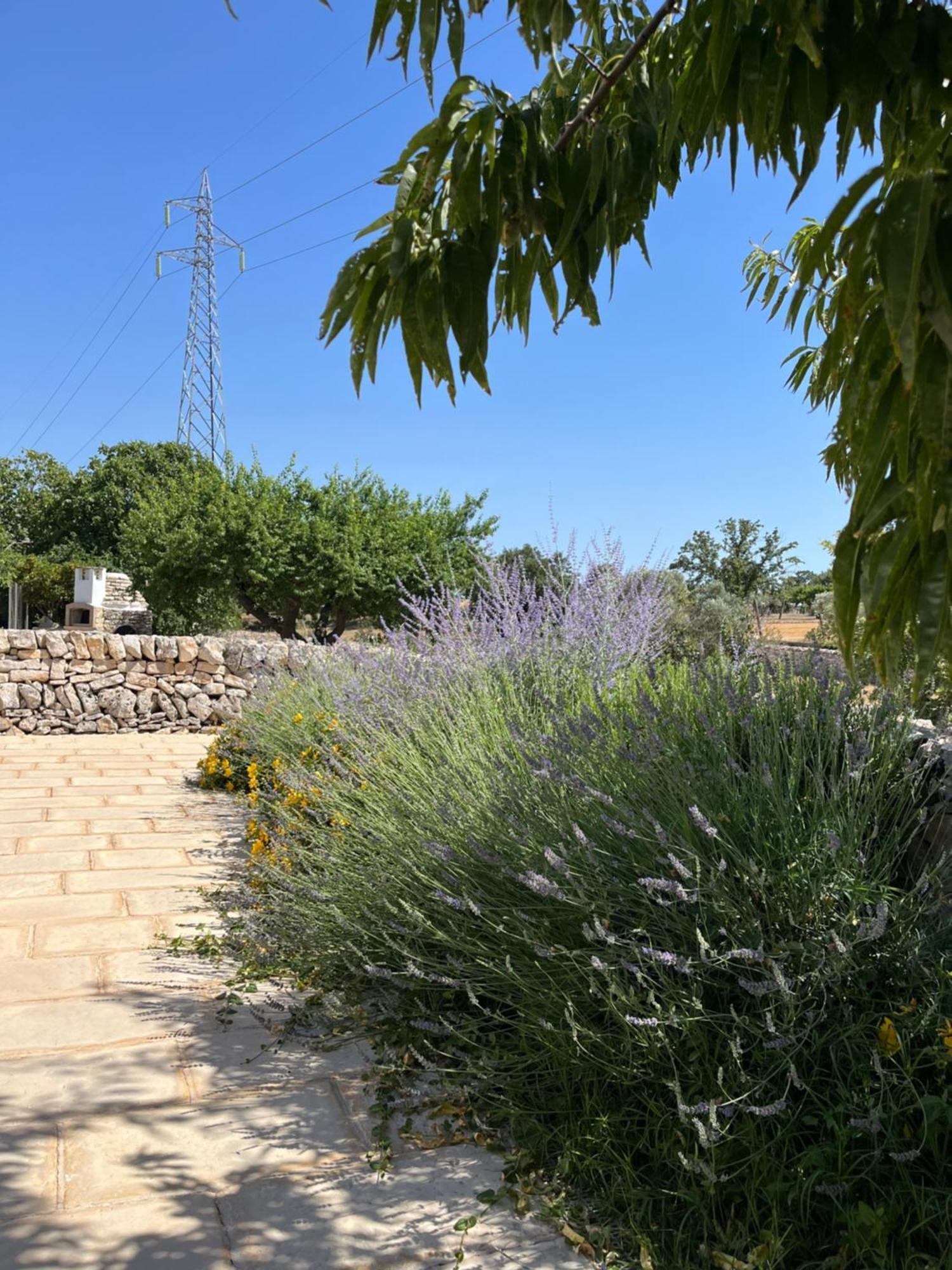 노치 Trulli Don Diego B&B 외부 사진