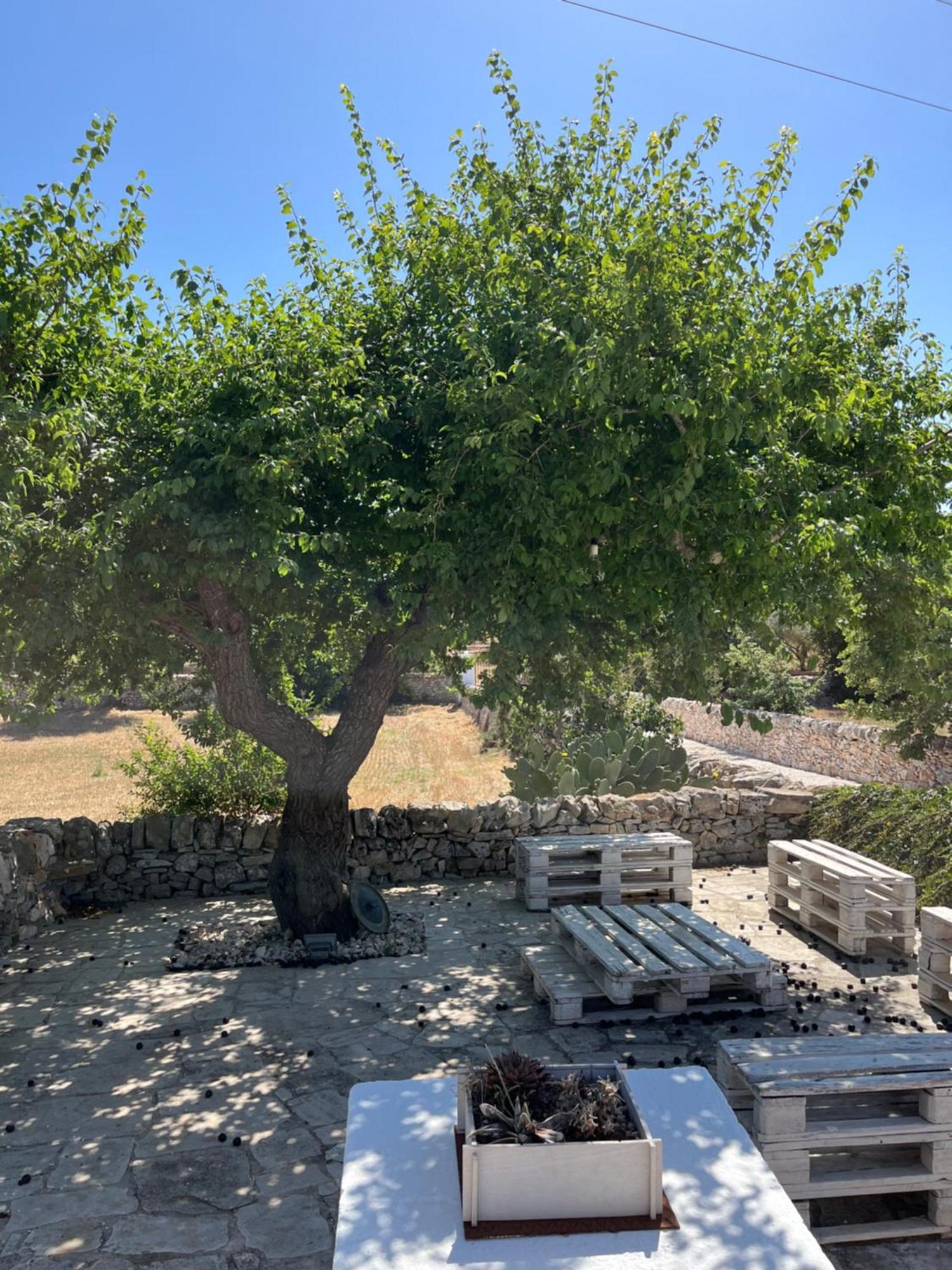 노치 Trulli Don Diego B&B 외부 사진